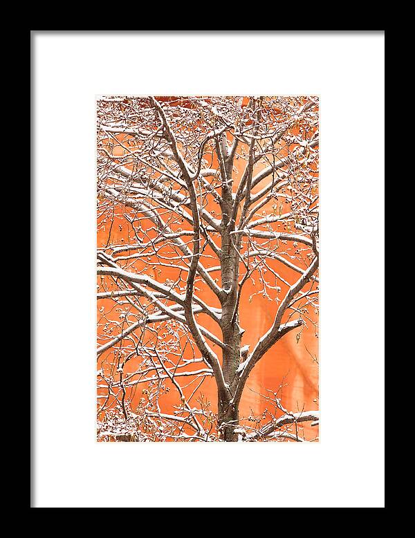 Snow Framed Print featuring the photograph Winter's Touch by Carl Amoth