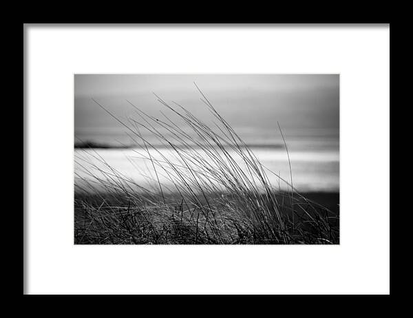 Spartina Framed Print featuring the photograph Wistful by Spikey Mouse Photography