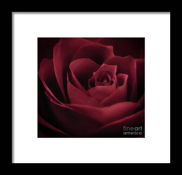 With This Rose Framed Print featuring the photograph With This Rose by Charlie Cliques