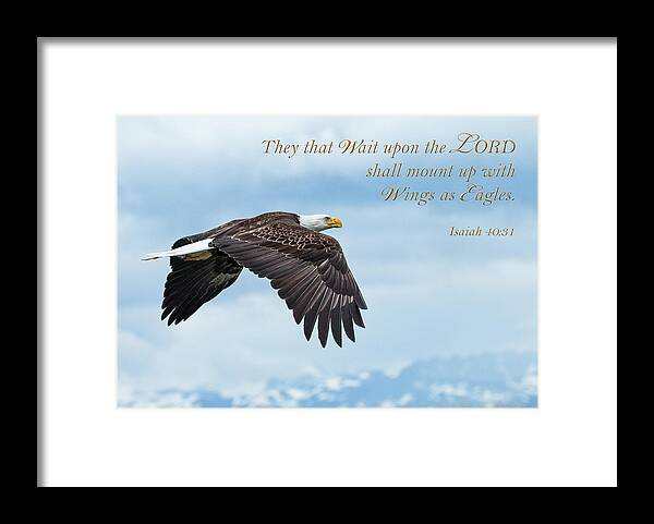 Alaska Framed Print featuring the photograph With Wings as Eagles by James Capo