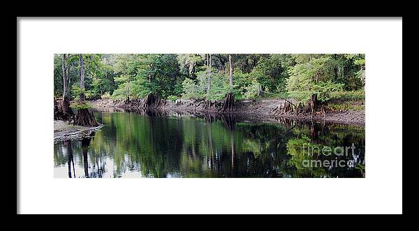 Withlacoochee River Framed Print featuring the photograph Withlacoochee River by Robert Meanor