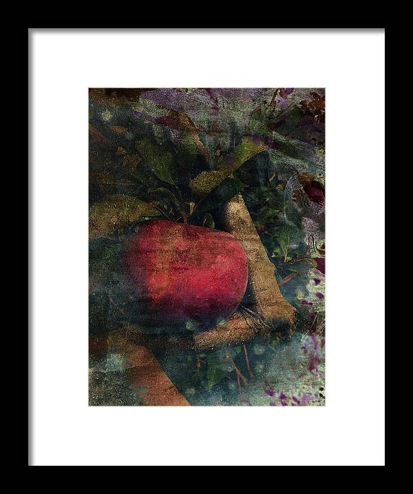 Apple Framed Print featuring the photograph Without Consequence by Char Szabo-Perricelli