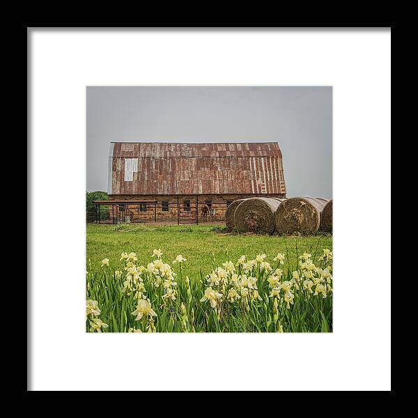 Wolverine Framed Print featuring the photograph Wolverine Drayage Barn Barnsdall OK by Bert Peake