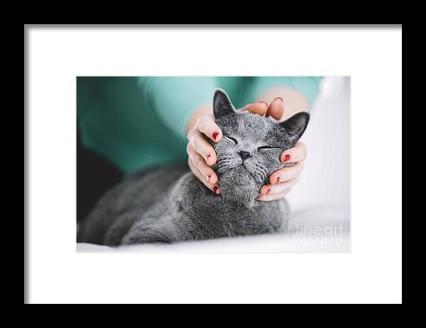 Cat Framed Print featuring the photograph Woman holding cat's head, petting him. by Michal Bednarek
