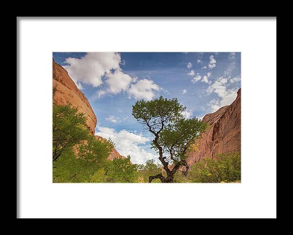 Coyote Gulch Framed Print featuring the photograph Wonderful tonight by Kunal Mehra