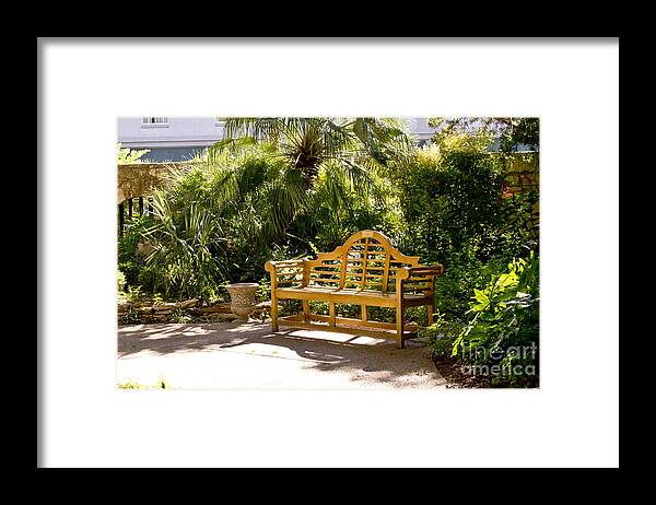 Bench Framed Print featuring the photograph Wooden Bench in Alamo by Elena Perelman