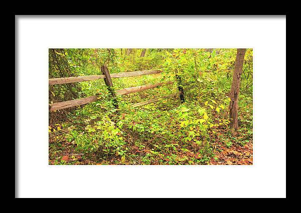 Wooden Fence Framed Print featuring the photograph Wooden Fence in Autumn by A Macarthur Gurmankin
