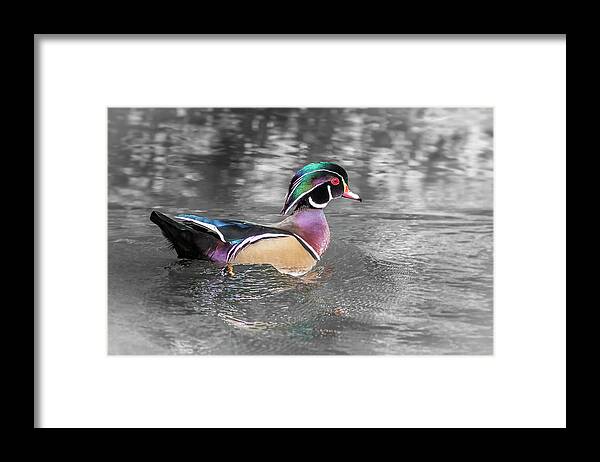 5dmkiv Framed Print featuring the photograph Woodie by Mark Mille
