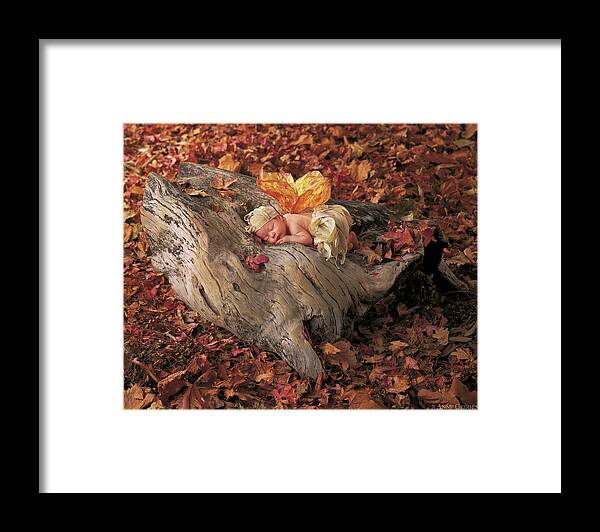 Fall Framed Print featuring the photograph Woodland Fairy by Anne Geddes