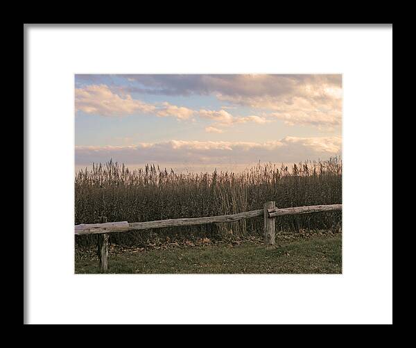 Marshland Framed Print featuring the photograph Woodland Fences - Marshes of Fairfield County CT by Margie Avellino