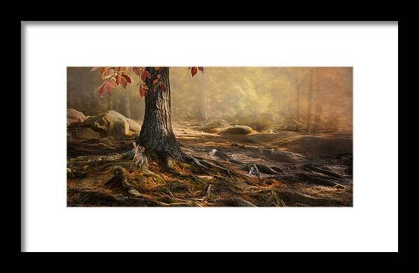 Woodland Framed Print featuring the photograph Woodland Mist by Robin-Lee Vieira