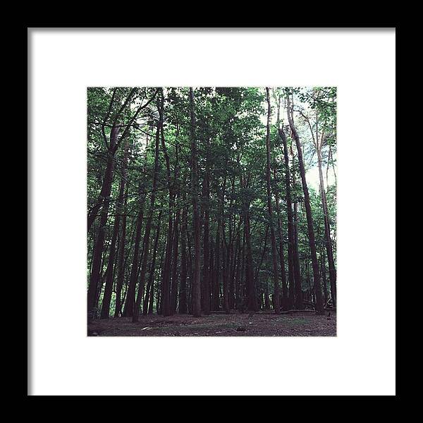 Nature Framed Print featuring the photograph #woods #woodland #trees #nature by Emma Gillett