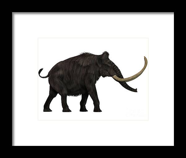 Woolly Mammoth Framed Print featuring the painting Woolly Mammoth Side Profile by Corey Ford