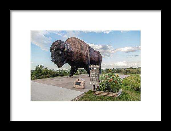 Worlds Largest Buffalo Framed Print featuring the photograph Worlds Largest Buffalo in North Dakota by John McGraw