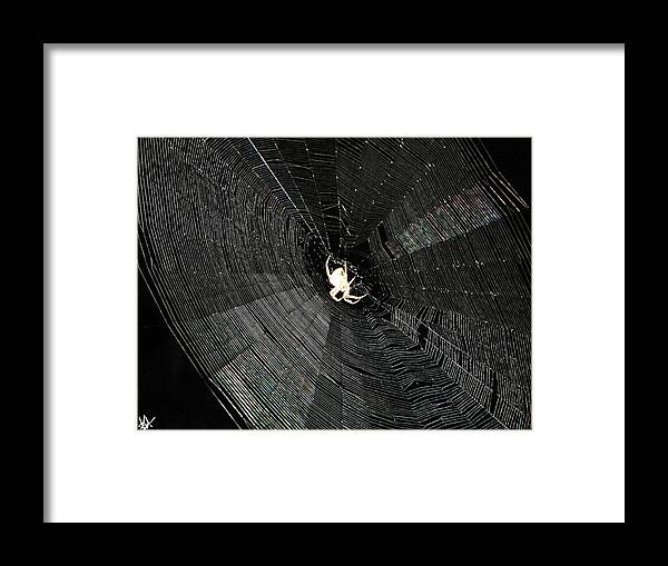 Woven Nature Framed Print featuring the photograph Woven Nature by Debra   Vatalaro