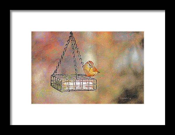 Wren Framed Print featuring the photograph Wren in Prayer by Diane Lindon Coy
