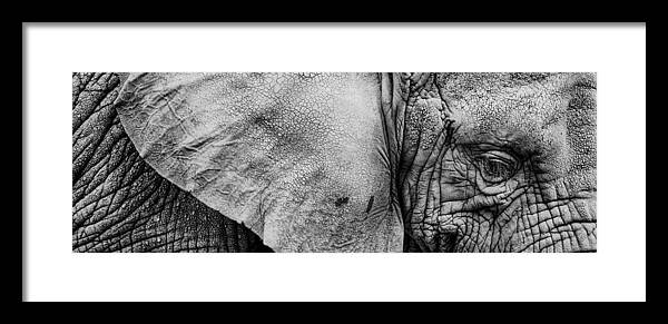 Portrait Framed Print featuring the photograph Wrinkles by Joye Ardyn Durham