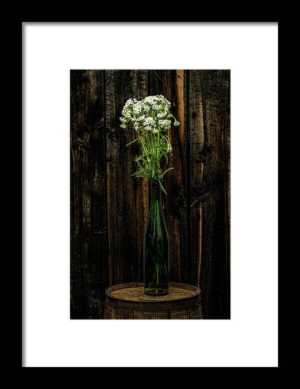 Yarrow Framed Print featuring the photograph Yarrow by Fred Denner