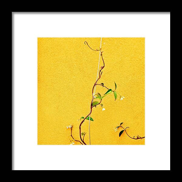  Framed Print featuring the photograph Yellow #1 by Julie Gebhardt