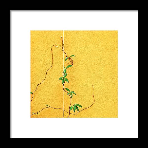  Framed Print featuring the photograph Yellow #3 by Julie Gebhardt