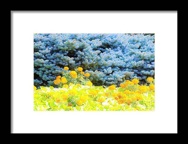 Trees Framed Print featuring the photograph Yellow, blue, orange by Merle Grenz
