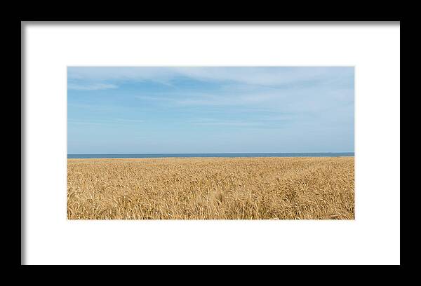 Background Framed Print featuring the photograph Yellow field, sea and blue sky by Michalakis Ppalis