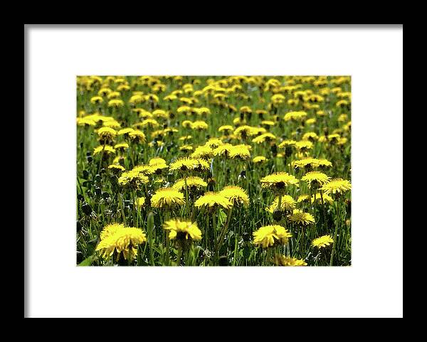 Abstract Framed Print featuring the digital art Yellow Field Two by Lyle Crump