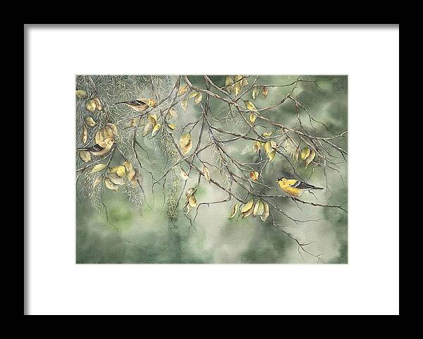 Yellow Finch Framed Print featuring the painting Yellow Finch by Mary McCullah