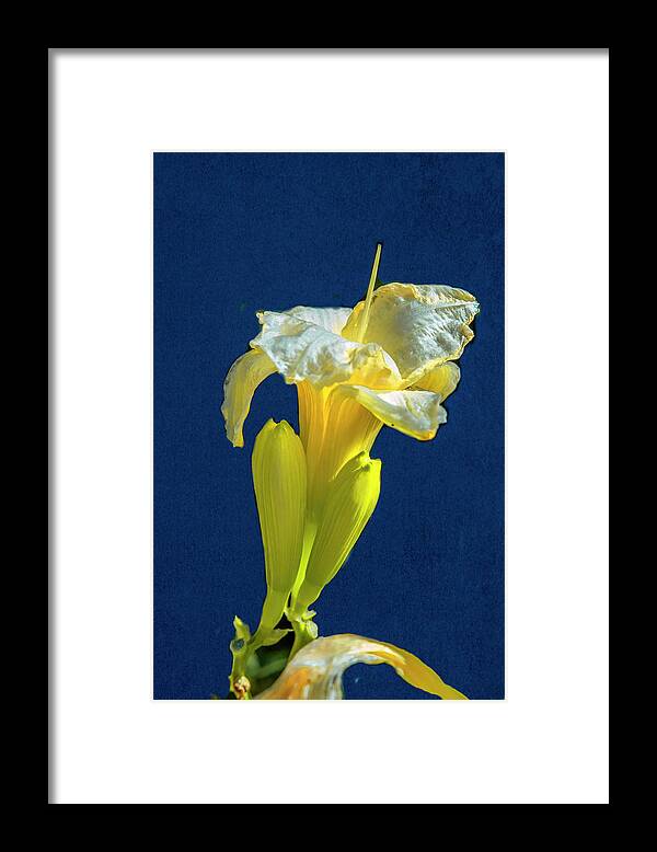 Yellow Framed Print featuring the photograph Yellow glue blue #f9 by Leif Sohlman