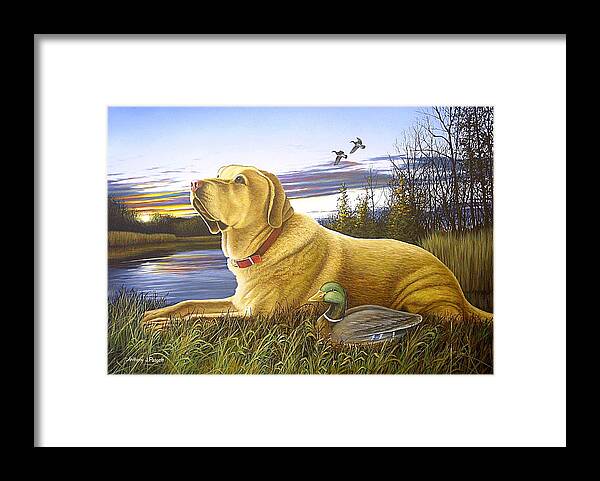 Yellow Lab Framed Print featuring the painting Yellow Lab with Decoy by Anthony J Padgett