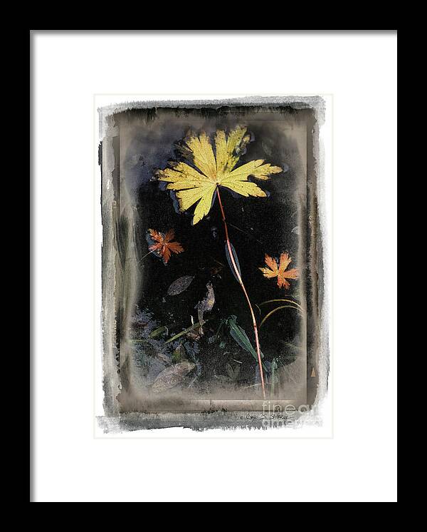 Landscape Framed Print featuring the photograph Yellow Leaf by Craig J Satterlee