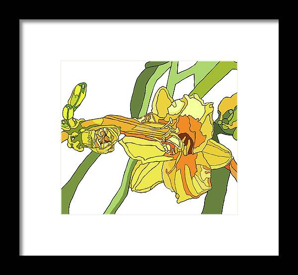 Lily Framed Print featuring the painting Yellow Lily and Bud, Graphic by Jamie Downs