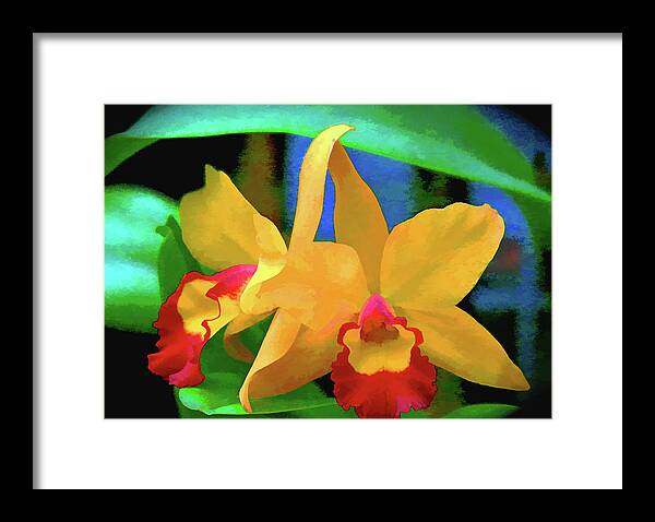 Bright Framed Print featuring the photograph Yellow Orchid by Rochelle Berman