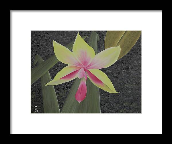 Fine Art Framed Print featuring the painting Yellow Orchid by Stephen Daddona