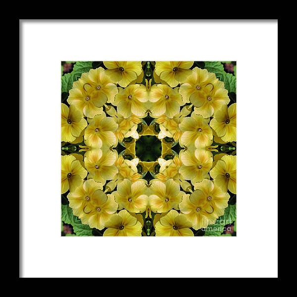Flower Framed Print featuring the digital art Yellow Primrose Abstract Kaleidoscope by Smilin Eyes Treasures