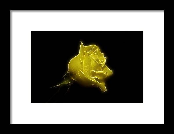Rose Framed Print featuring the photograph Yellow Rose by Sandy Keeton