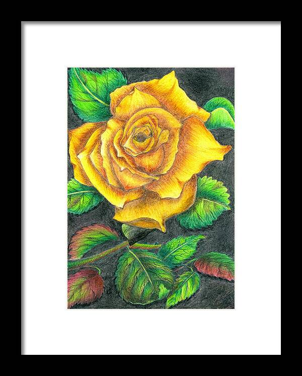 Flower Framed Print featuring the drawing Yellow rose by Tara Krishna