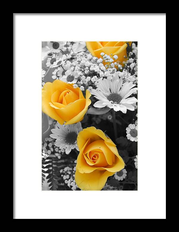 Rose Framed Print featuring the photograph Yellow Roses by Amy Fose