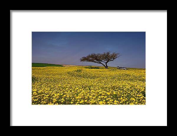 Spring Framed Print featuring the photograph Yellow Spring by Uri Baruch
