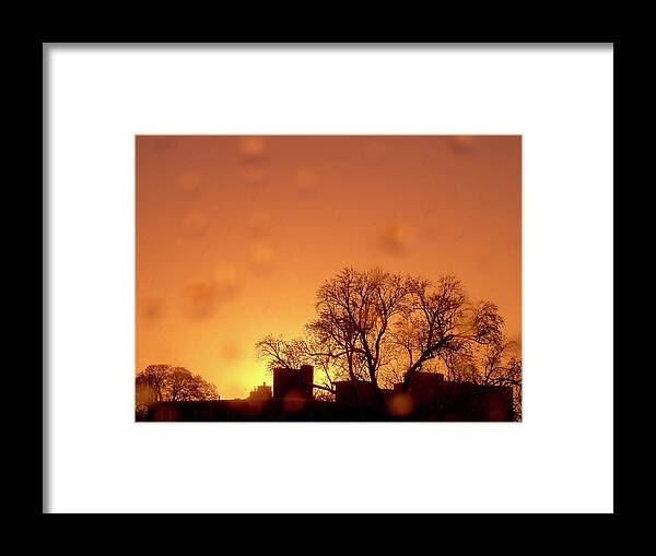 Massachusetts Framed Print featuring the photograph Yellow Sun by Christopher Brown