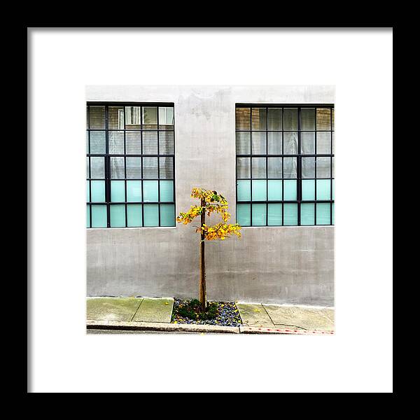  Framed Print featuring the photograph Yellow Tree by Julie Gebhardt