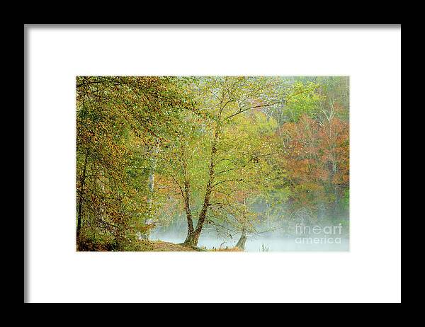 Landscape Framed Print featuring the photograph Yellow Trees by Iris Greenwell
