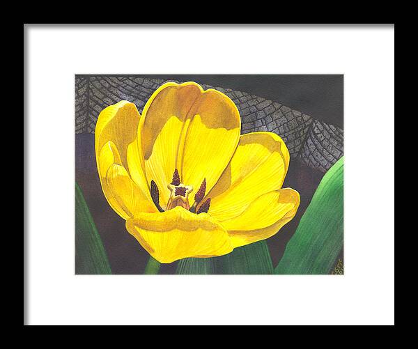 Tulip Framed Print featuring the painting Yellow Tulip by Catherine G McElroy