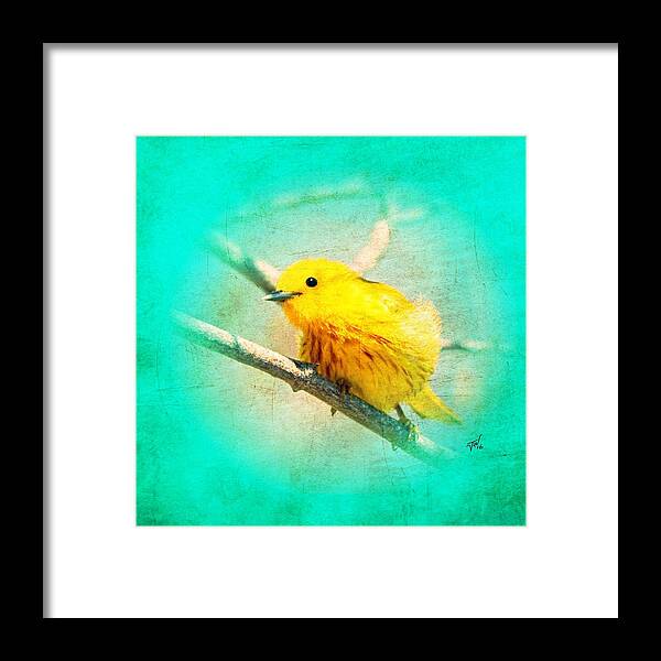 Small Birds Framed Print featuring the photograph Yellow Warbler by John Wills