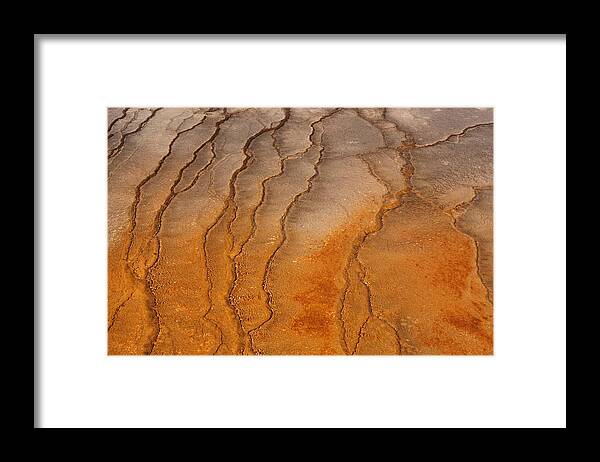 Texture Framed Print featuring the photograph Yellowstone 2530 by Michael Fryd
