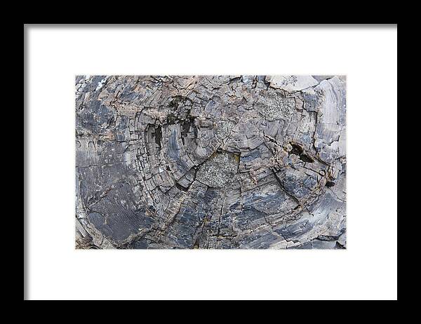 Texture Framed Print featuring the photograph Yellowstone 3707 by Michael Fryd