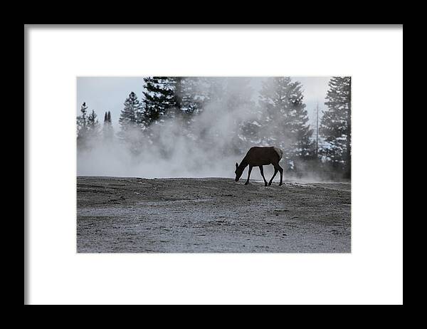 Yellowstone National Park Framed Print featuring the photograph Yellowstone 5456 by Michael Fryd