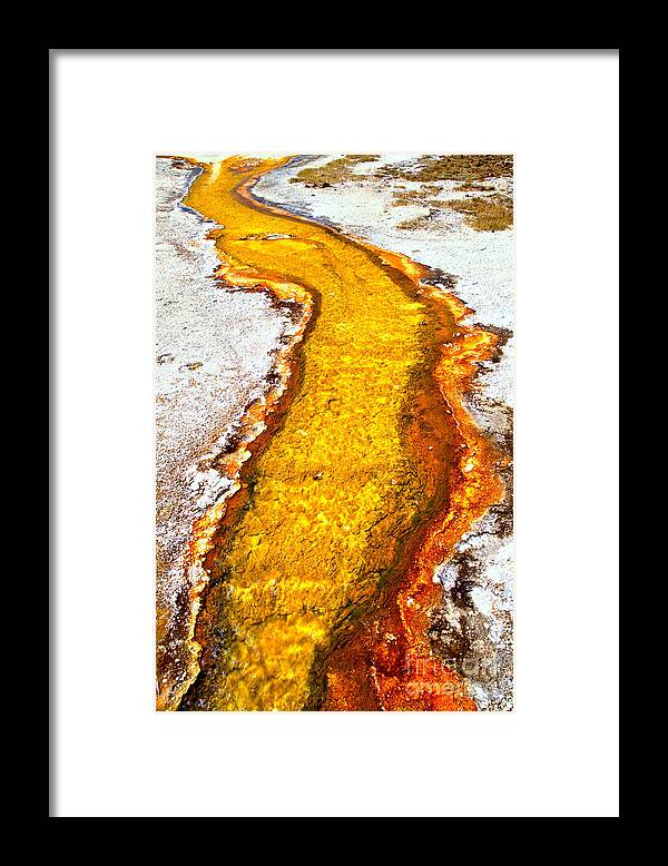 Yellowstone Framed Print featuring the photograph Yellowstone Stream by Adam Jewell
