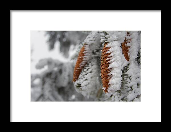 Winter Framed Print featuring the photograph Yep, it's Winter by Andreas Levi