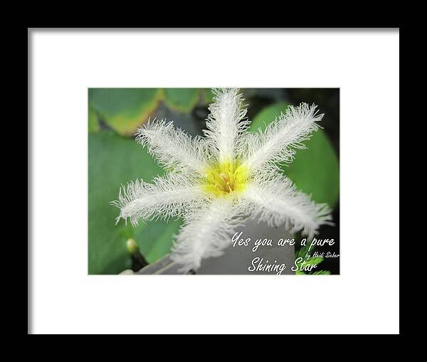Flower Framed Print featuring the photograph Yes you are a pure shining star by Heidi Sieber